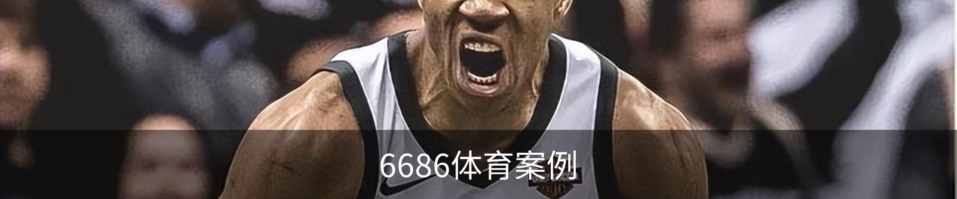 6686体育案例